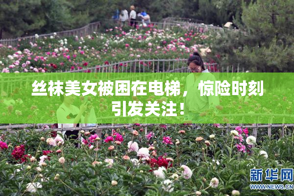丝袜美女被困在电梯，惊险时刻引发关注！