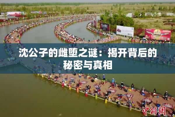 沈公子的雌堕之谜：揭开背后的秘密与真相