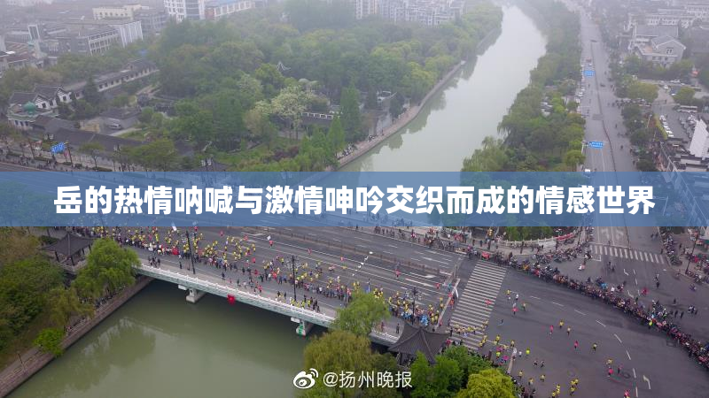 岳的热情呐喊与激情呻吟交织而成的情感世界