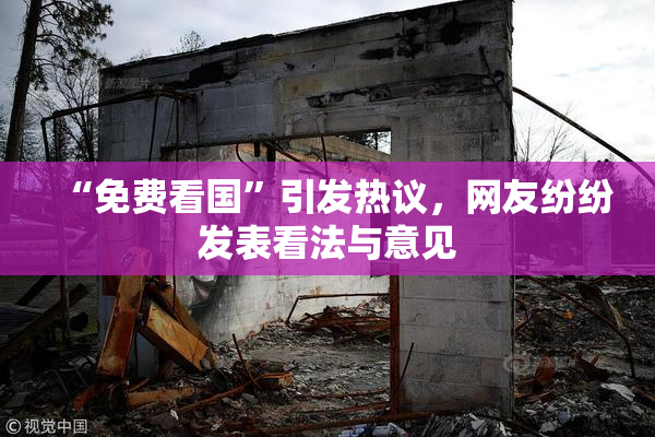 “免费看国”引发热议，网友纷纷发表看法与意见