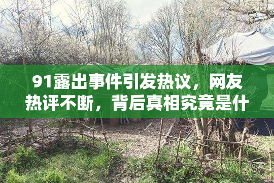 91露出事件引发热议，网友热评不断，背后真相究竟是什么？