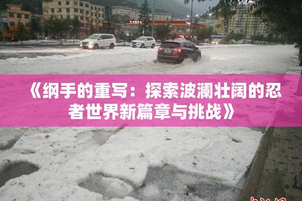 《纲手的重写：探索波澜壮阔的忍者世界新篇章与挑战》