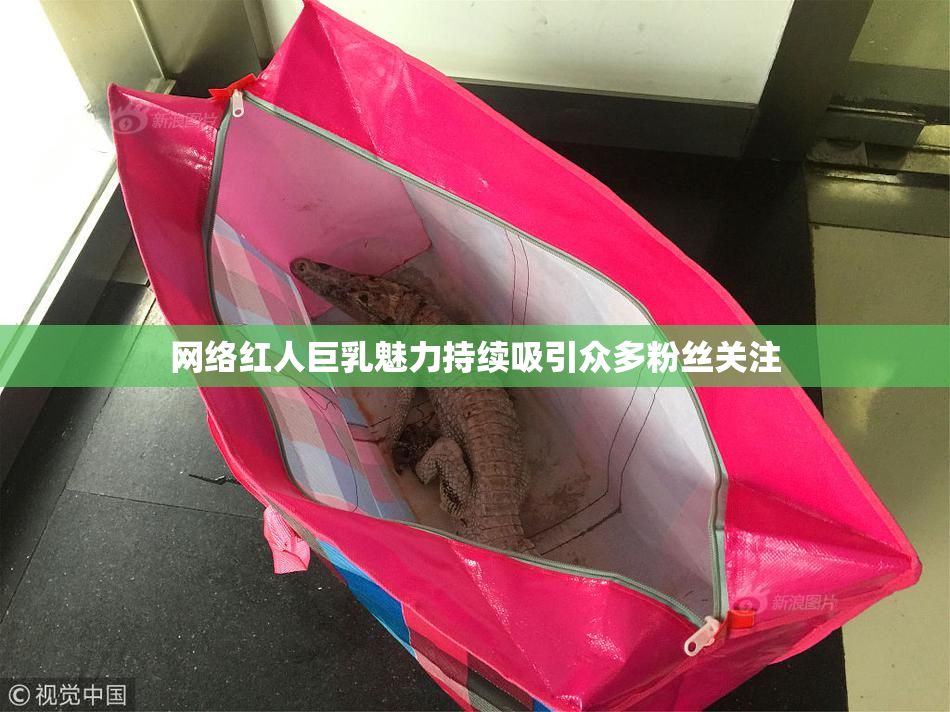 网络红人巨乳魅力持续吸引众多粉丝关注