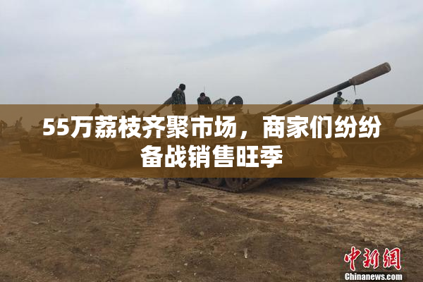 55万荔枝齐聚市场，商家们纷纷备战销售旺季