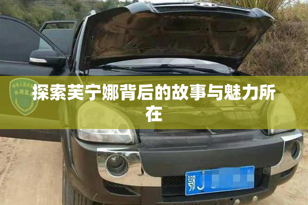 探索芙宁娜背后的故事与魅力所在