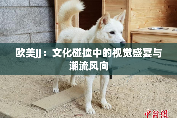 欧美JJ：文化碰撞中的视觉盛宴与潮流风向