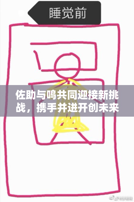 佐助与鸣共同迎接新挑战，携手并进开创未来