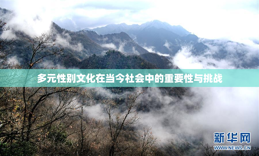 多元性别文化在当今社会中的重要性与挑战