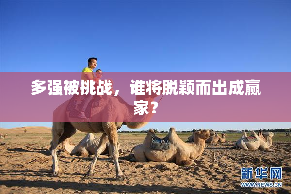 多强被挑战，谁将脱颖而出成赢家？