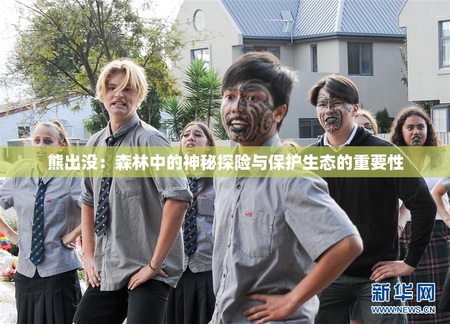 熊出没：森林中的神秘探险与保护生态的重要性