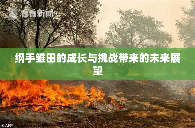 纲手雏田的成长与挑战带来的未来展望