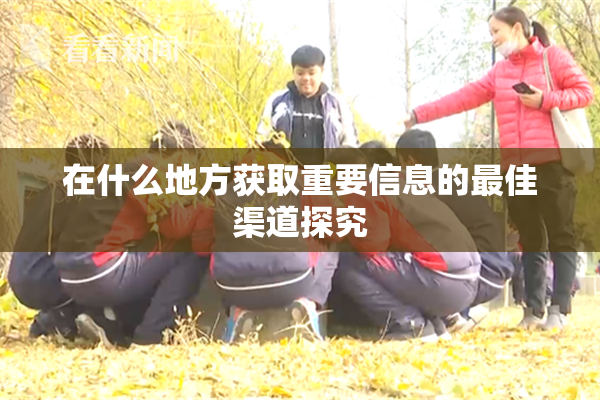 在什么地方获取重要信息的最佳渠道探究