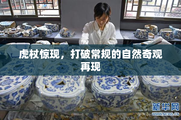 虎杖惊现，打破常规的自然奇观再现