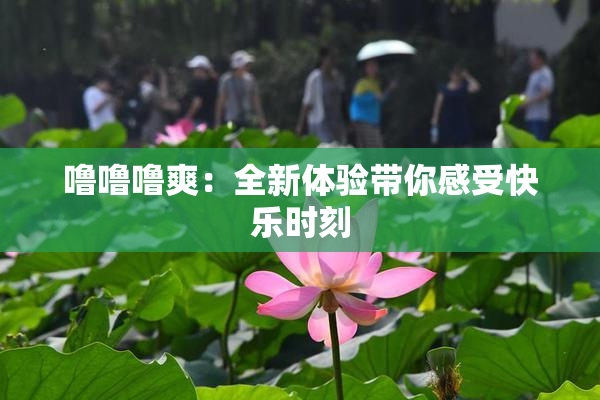 噜噜噜爽：全新体验带你感受快乐时刻