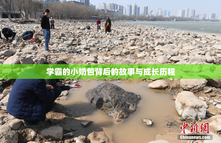 学霸的小奶包背后的故事与成长历程