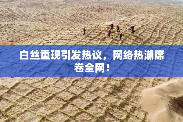 白丝重现引发热议，网络热潮席卷全网！