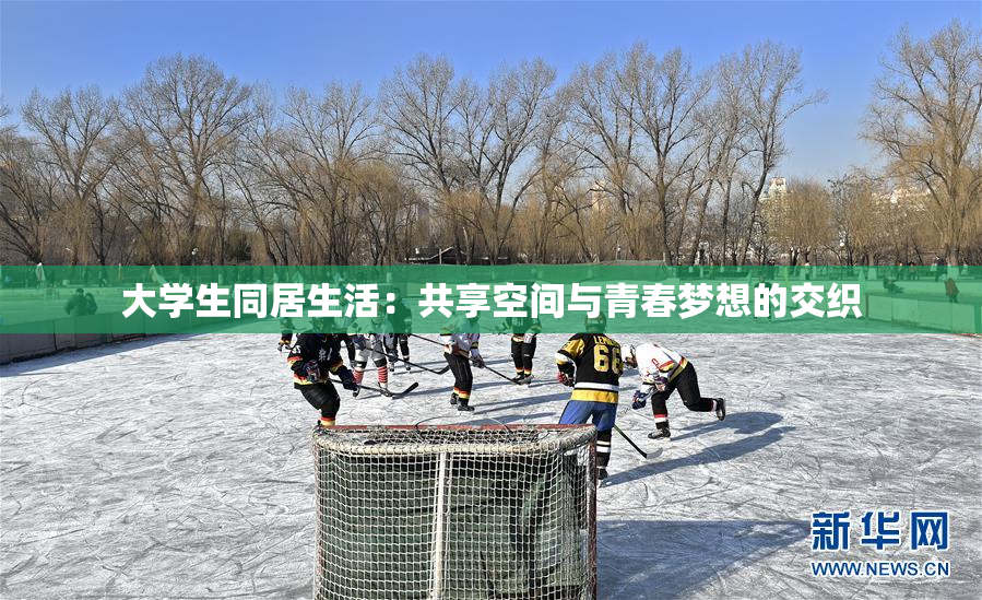 大学生同居生活：共享空间与青春梦想的交织
