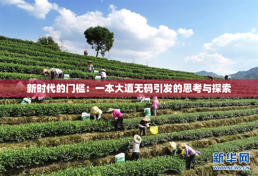 新时代的门槛：一本大道无码引发的思考与探索