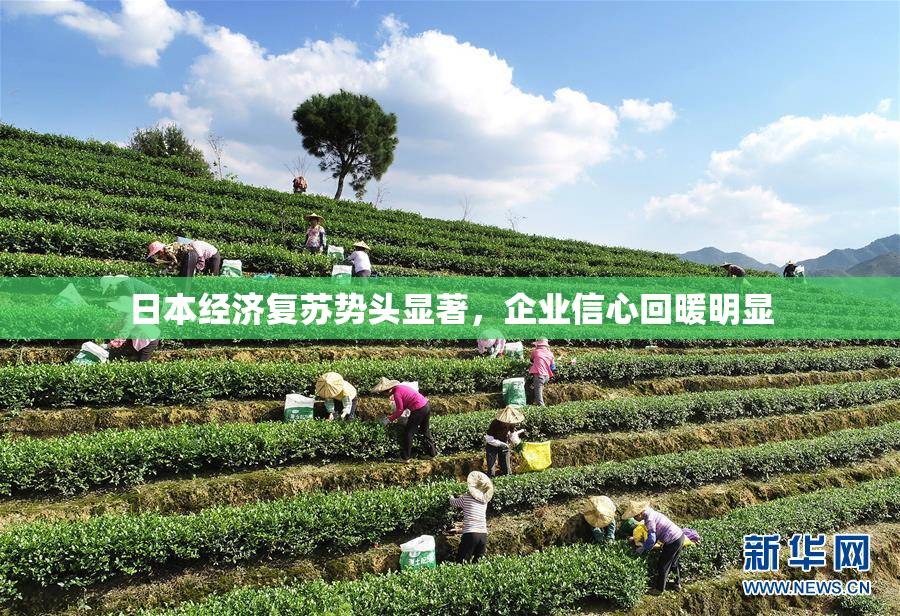 日本经济复苏势头显著，企业信心回暖明显