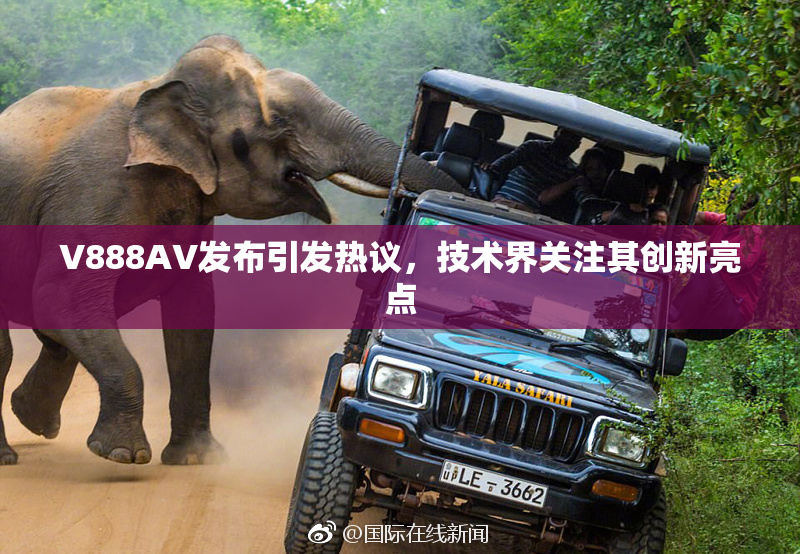 V888AV发布引发热议，技术界关注其创新亮点