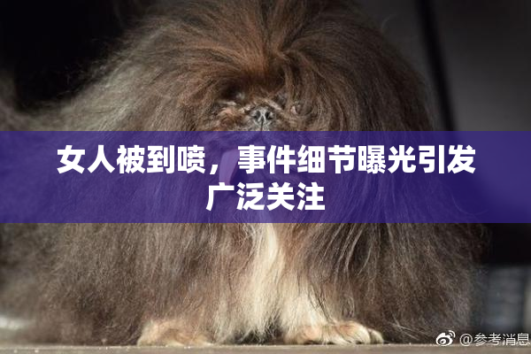 女人被到喷，事件细节曝光引发广泛关注