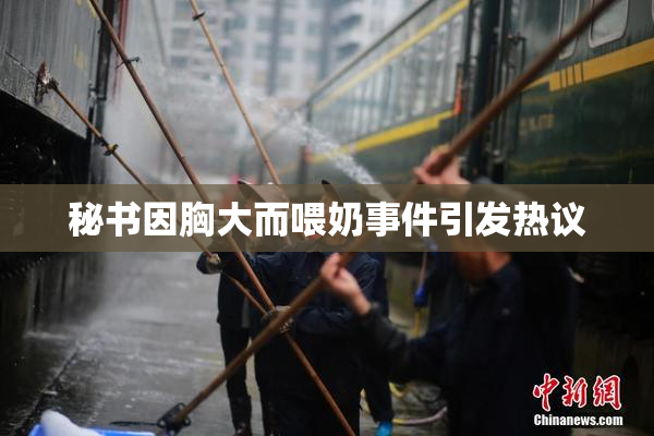 秘书因胸大而喂奶事件引发热议