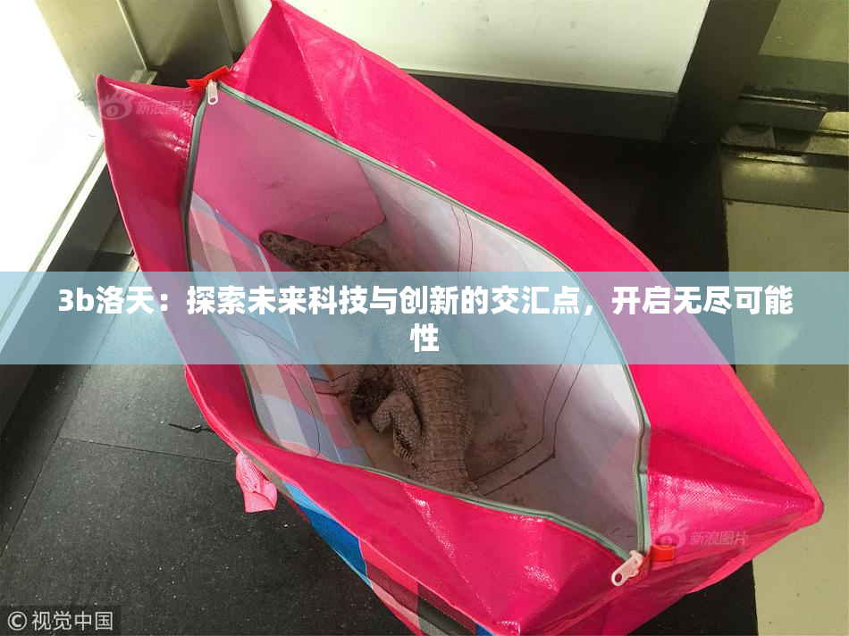 3b洛天：探索未来科技与创新的交汇点，开启无尽可能性