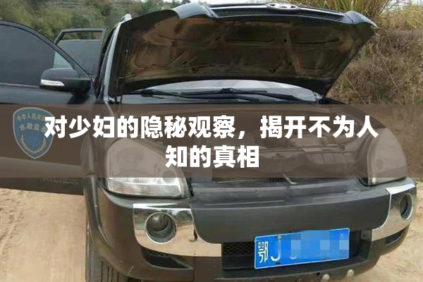 对少妇的隐秘观察，揭开不为人知的真相