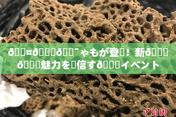 🖤🌃🔯ゃもが登場！新👅🍑魅力を発信す🌃イベント開催へ