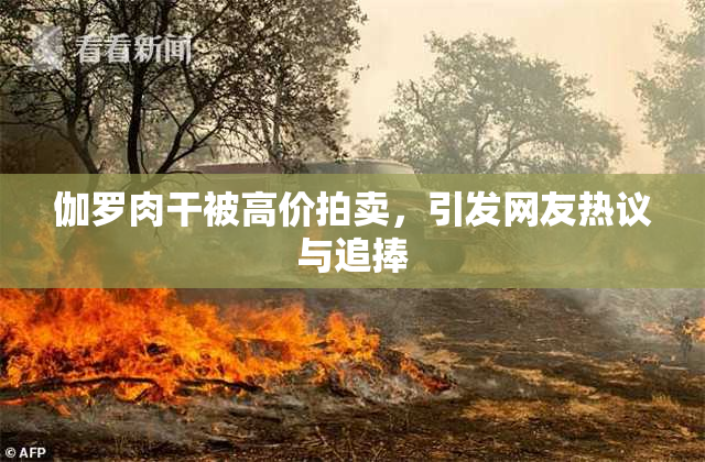 伽罗肉干被高价拍卖，引发网友热议与追捧