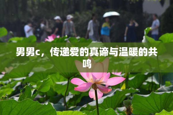 男男c，传递爱的真谛与温暖的共鸣
