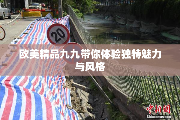 欧美精品九九带你体验独特魅力与风格