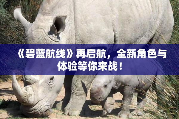 《碧蓝航线》再启航，全新角色与体验等你来战！
