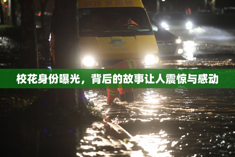校花身份曝光，背后的故事让人震惊与感动