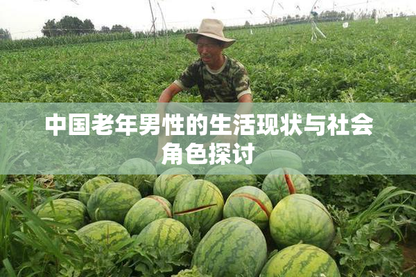 中国老年男性的生活现状与社会角色探讨