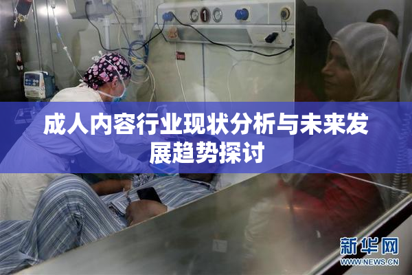 成人内容行业现状分析与未来发展趋势探讨
