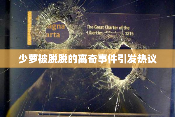 少萝被脱脱的离奇事件引发热议