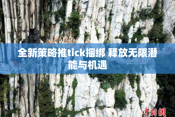 全新策略推tick捆绑 释放无限潜能与机遇