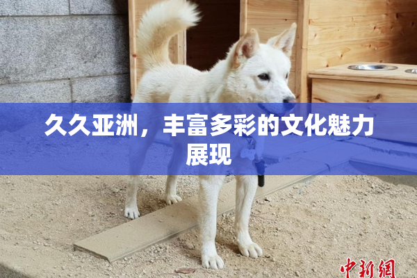久久亚洲，丰富多彩的文化魅力展现
