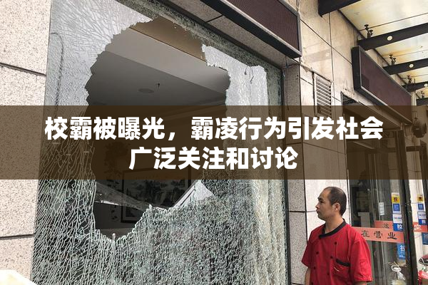 校霸被曝光，霸凌行为引发社会广泛关注和讨论