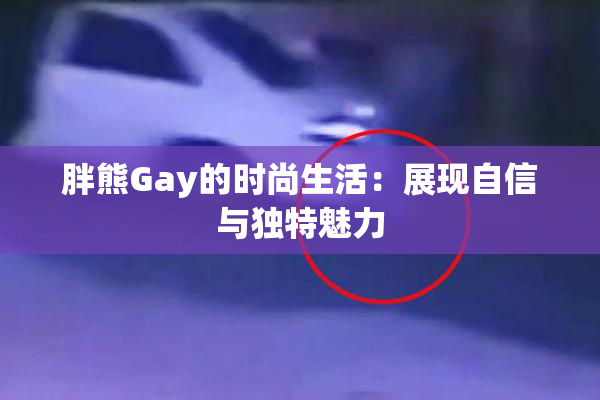 胖熊Gay的时尚生活：展现自信与独特魅力