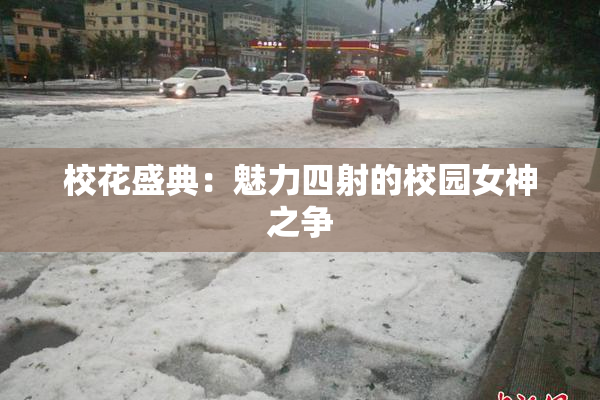 校花盛典：魅力四射的校园女神之争