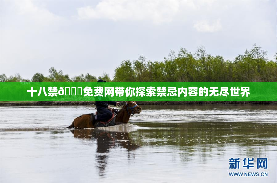 十八禁🔞免费网带你探索禁忌内容的无尽世界