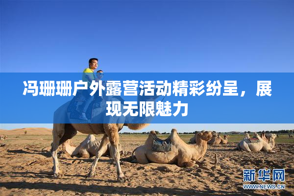 冯珊珊户外露营活动精彩纷呈，展现无限魅力