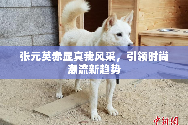 张元英赤显真我风采，引领时尚潮流新趋势