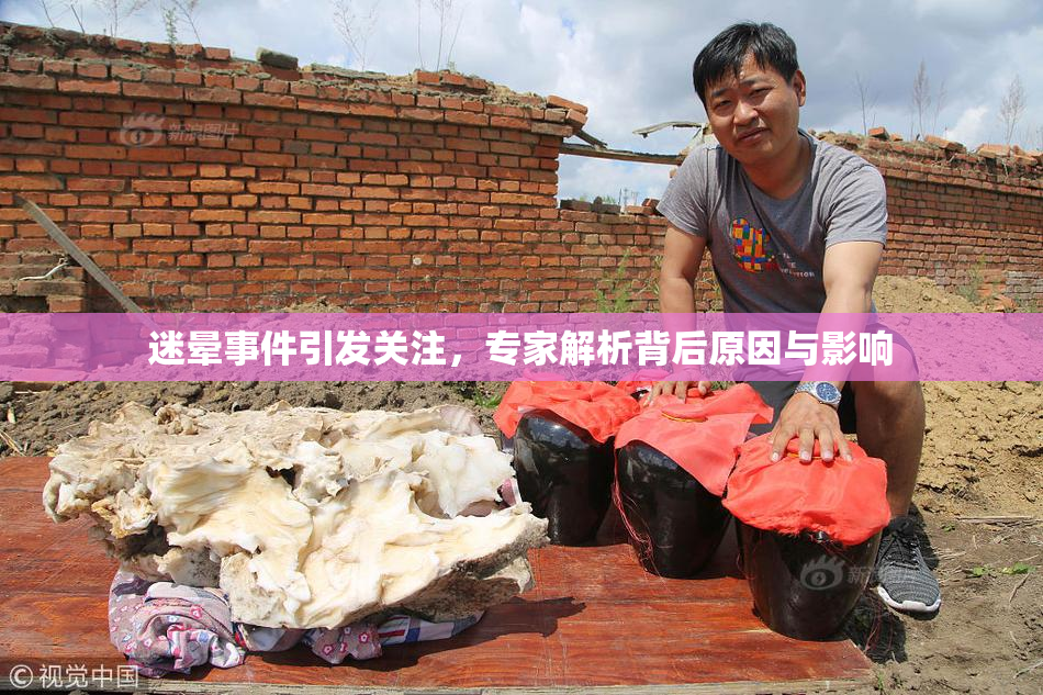 迷晕事件引发关注，专家解析背后原因与影响
