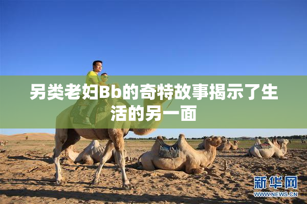 另类老妇Bb的奇特故事揭示了生活的另一面