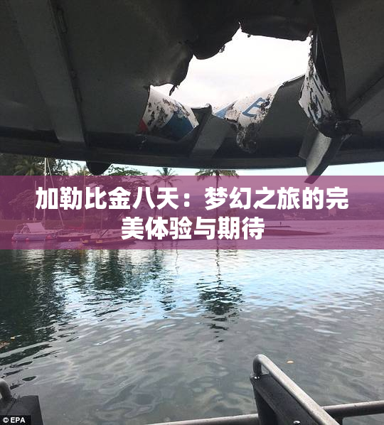 加勒比金八天：梦幻之旅的完美体验与期待