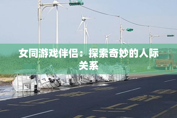 女同游戏伴侣：探索奇妙的人际关系