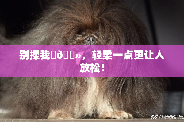 别揉我‌🐻，轻柔一点更让人放松！
